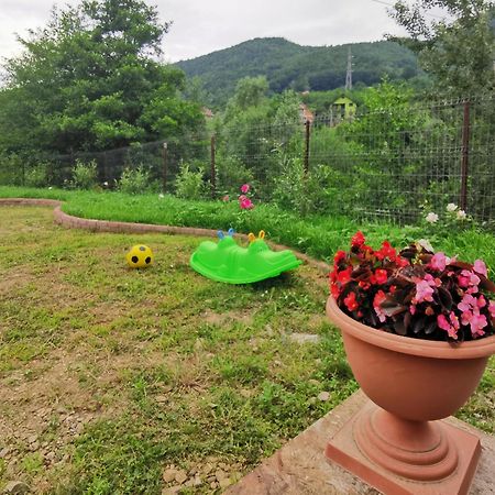 Casa Vio Vendégház Nehoiu Kültér fotó