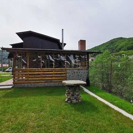 Casa Vio Vendégház Nehoiu Kültér fotó