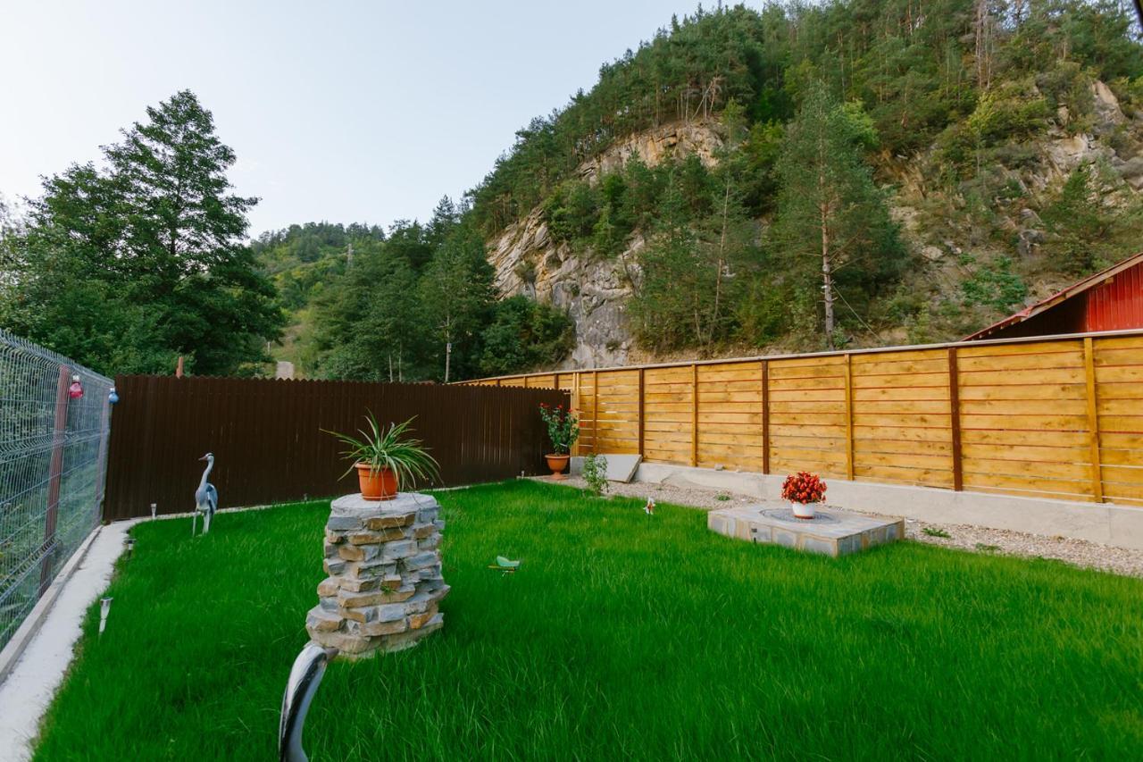 Casa Vio Vendégház Nehoiu Kültér fotó