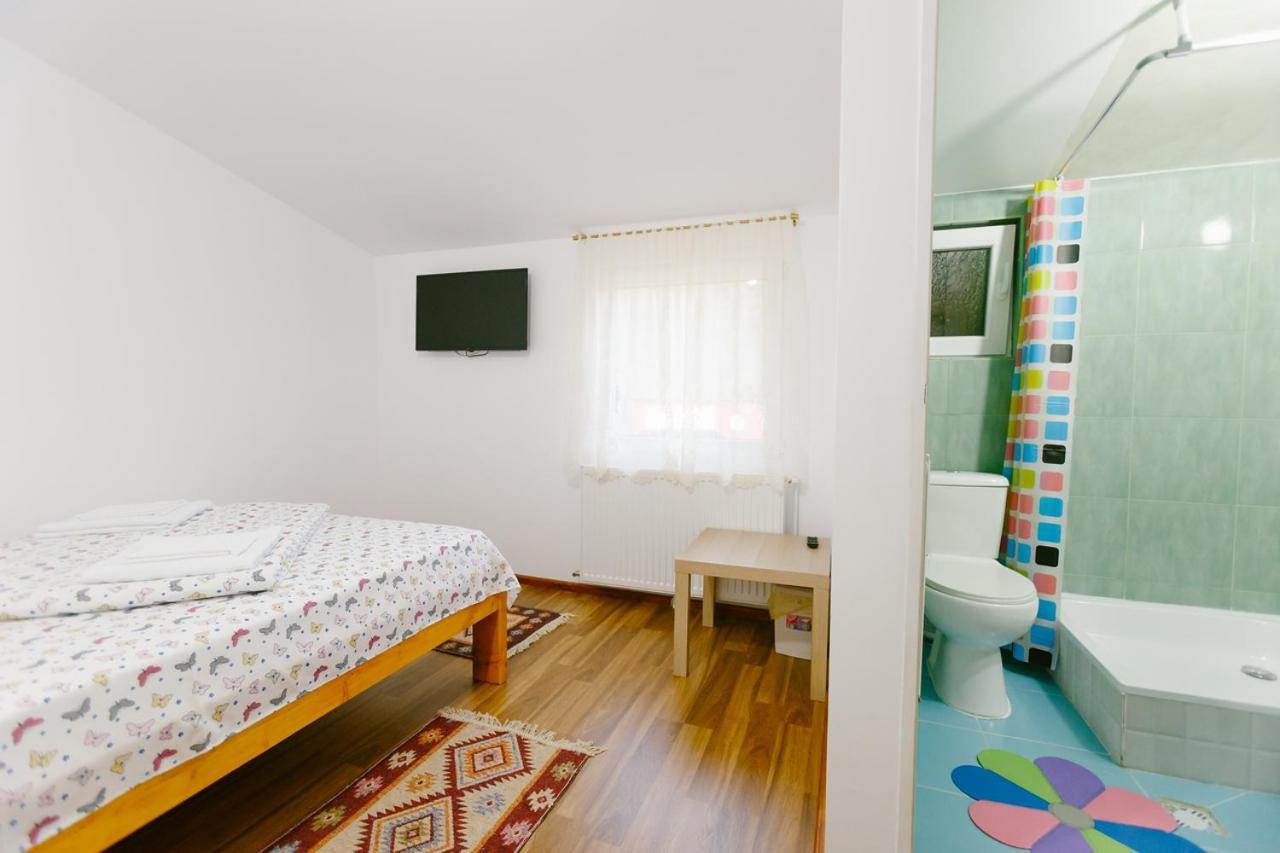 Casa Vio Vendégház Nehoiu Kültér fotó
