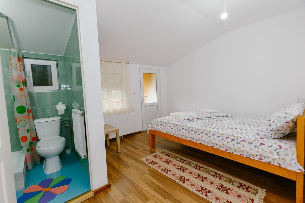 Casa Vio Vendégház Nehoiu Kültér fotó