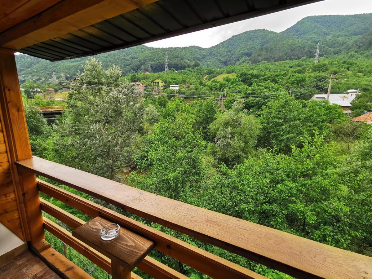 Casa Vio Vendégház Nehoiu Kültér fotó
