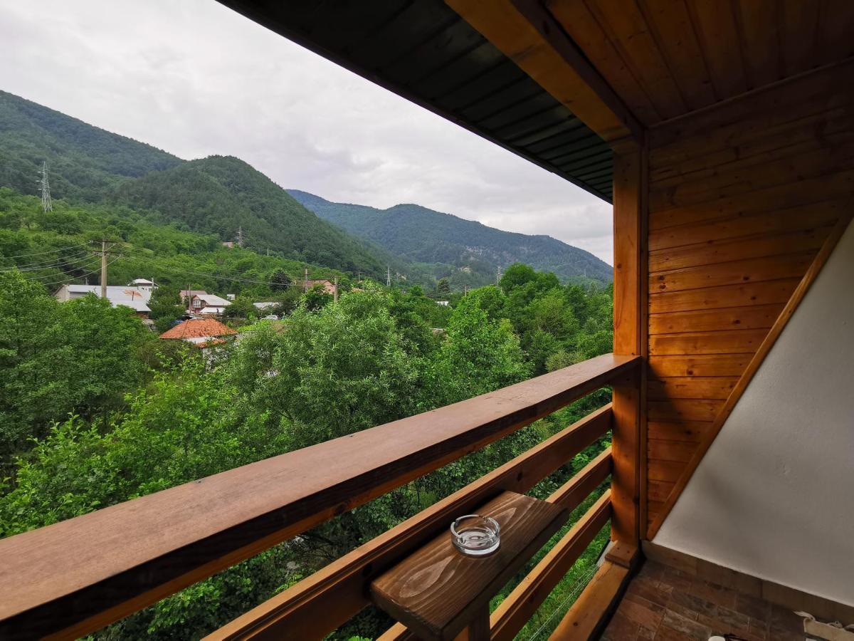 Casa Vio Vendégház Nehoiu Kültér fotó