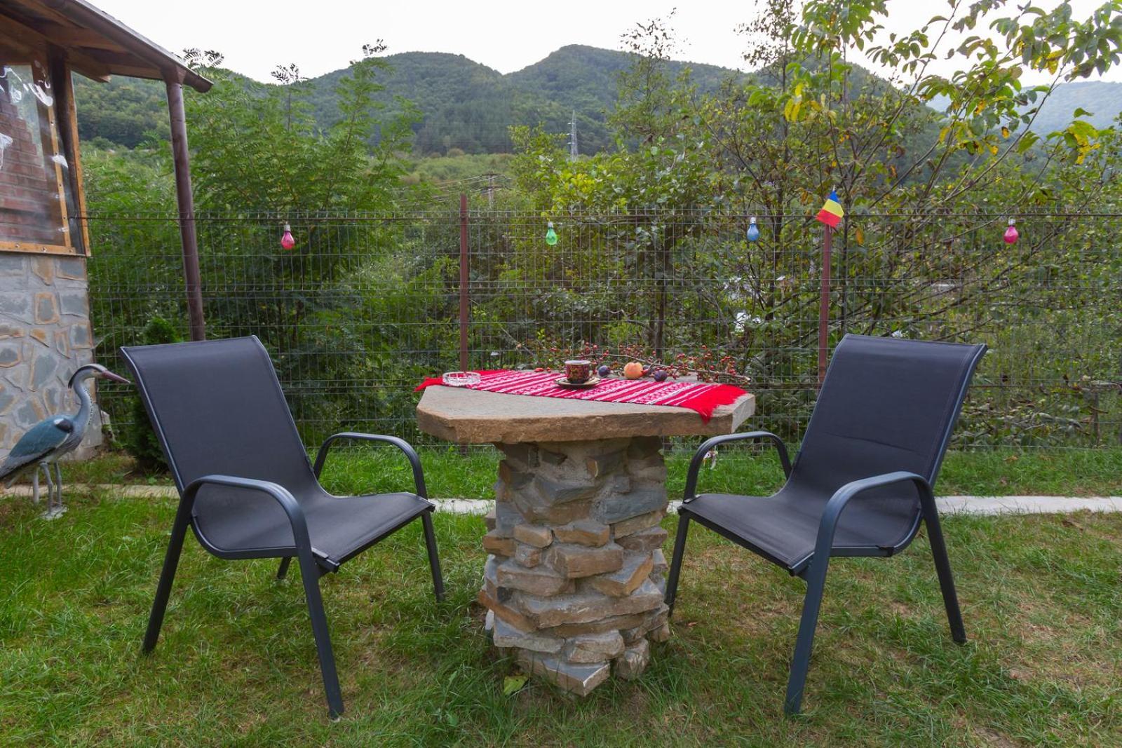 Casa Vio Vendégház Nehoiu Kültér fotó