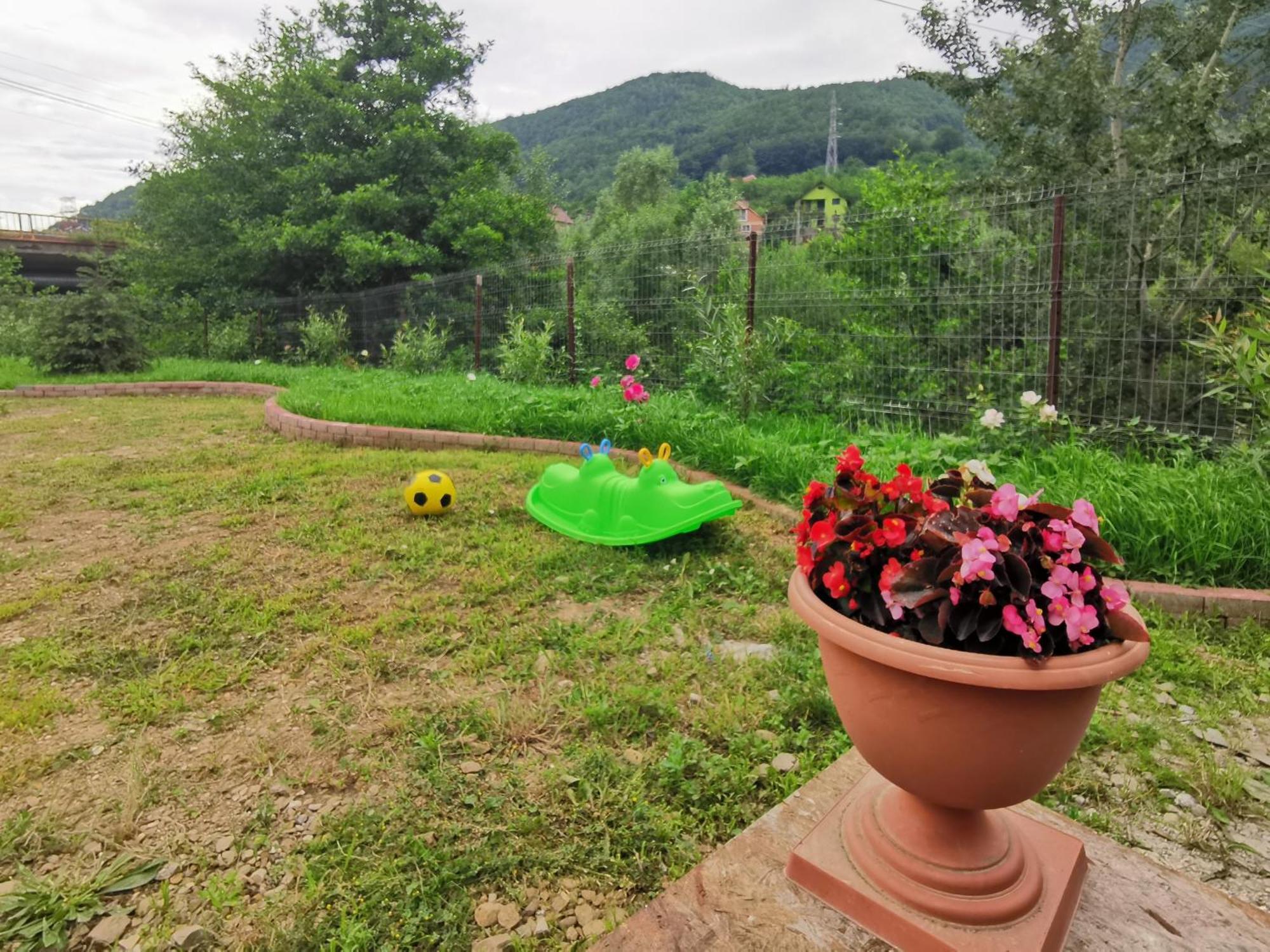 Casa Vio Vendégház Nehoiu Kültér fotó