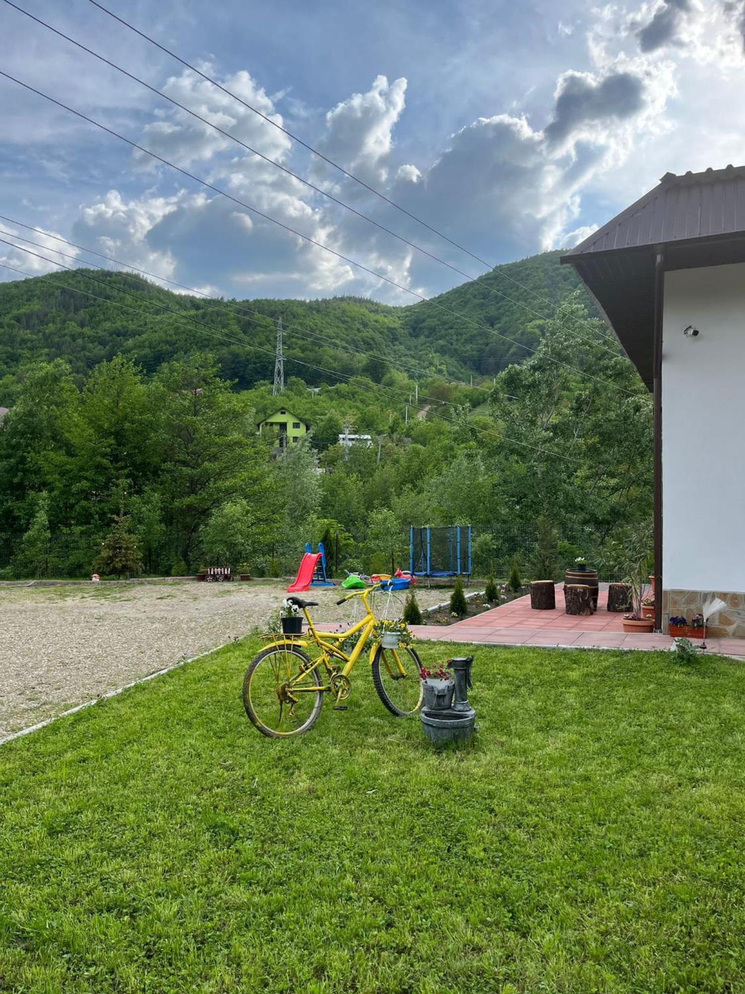 Casa Vio Vendégház Nehoiu Kültér fotó