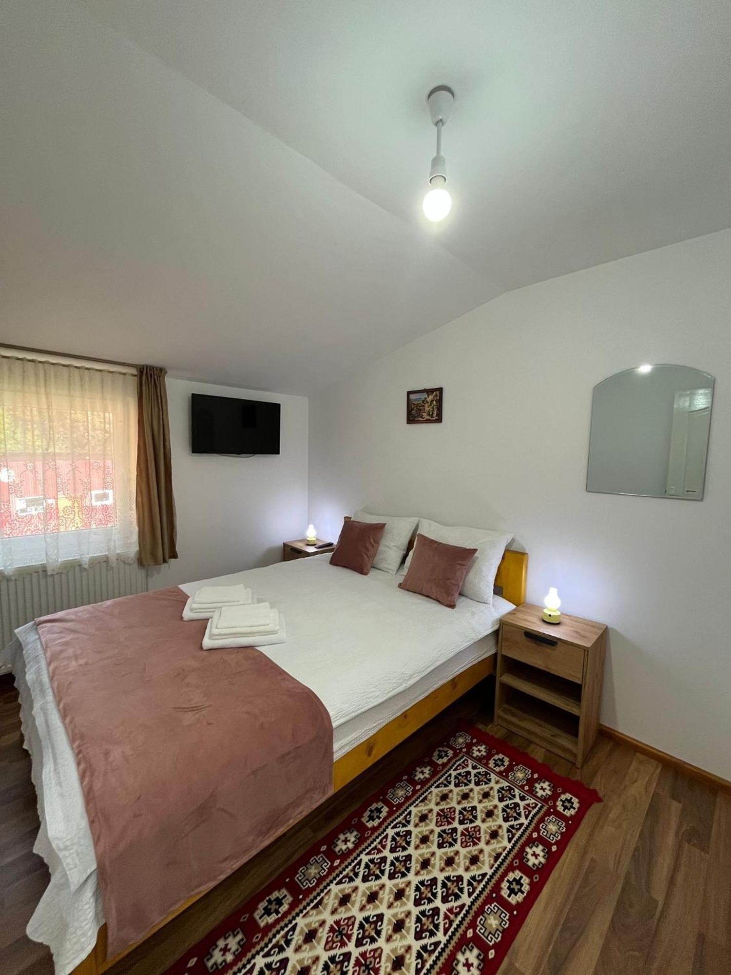 Casa Vio Vendégház Nehoiu Kültér fotó