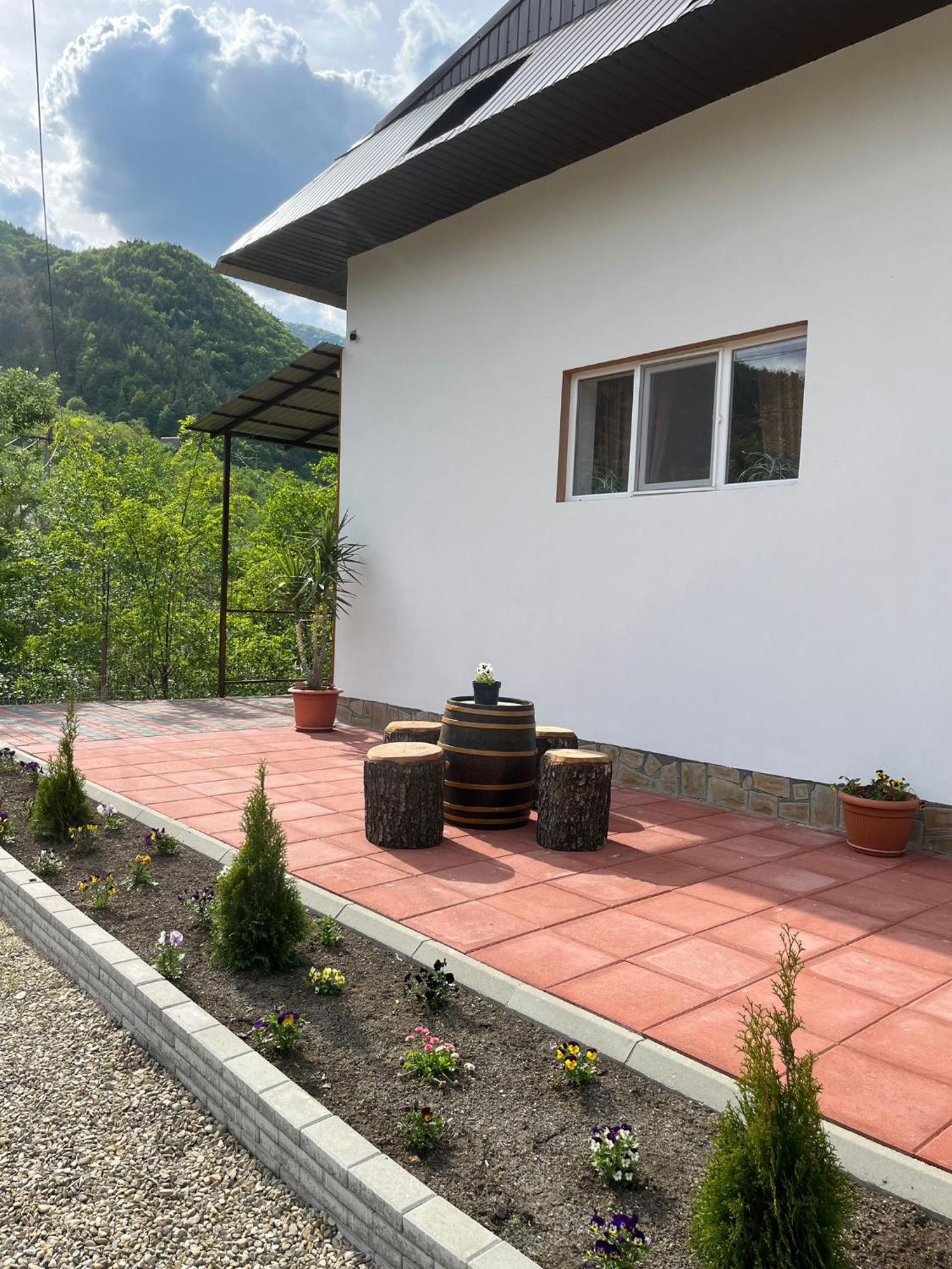 Casa Vio Vendégház Nehoiu Kültér fotó