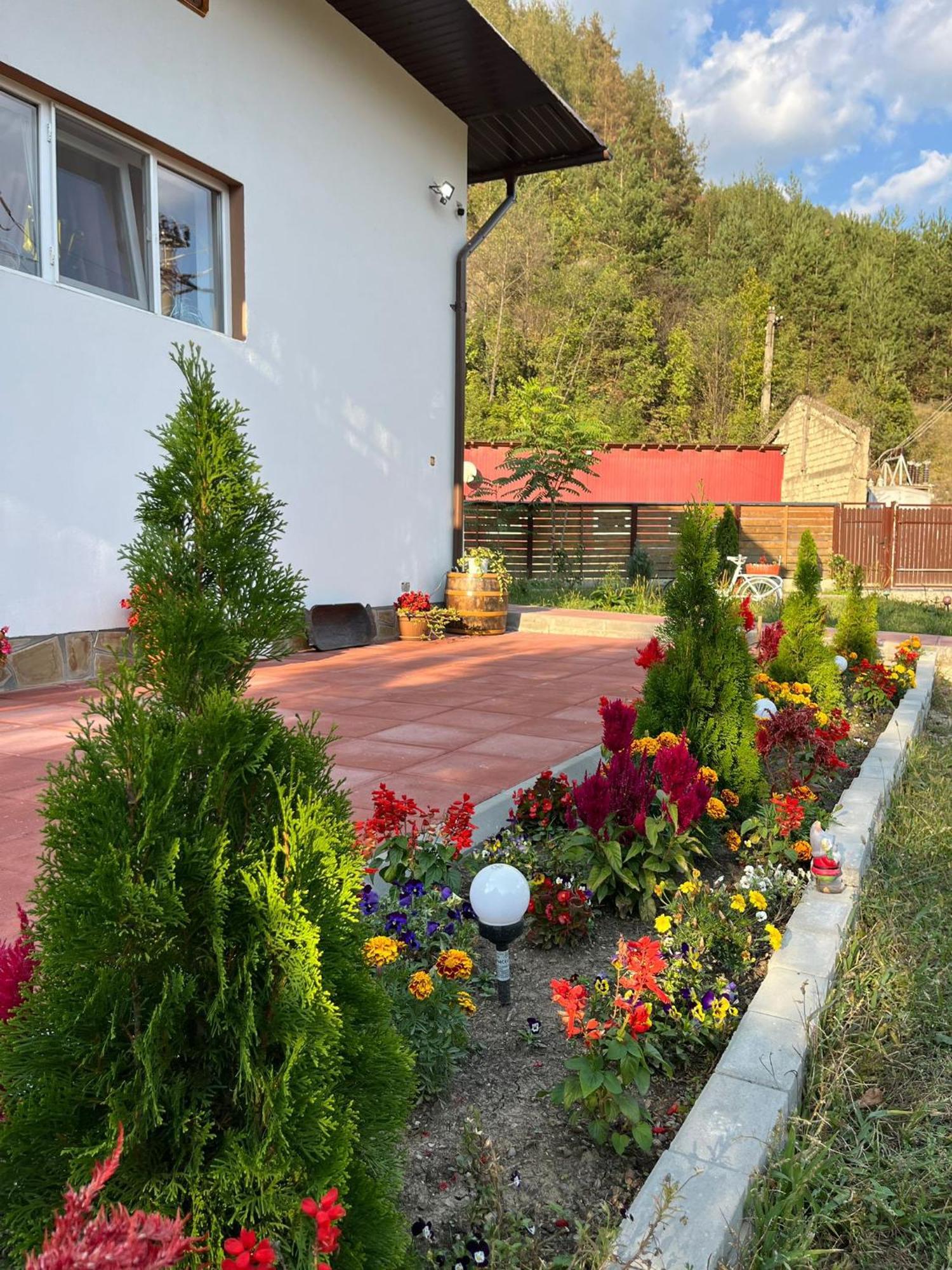 Casa Vio Vendégház Nehoiu Kültér fotó